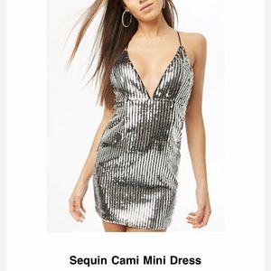 Silver Sequin Dress